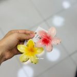 کلیپس مو پلومریا